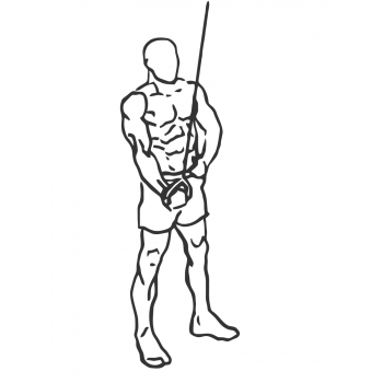 Cable One Arm Tricep Extension - Step 2