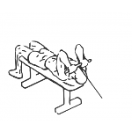 Cable Lying Triceps Extension - Step 1