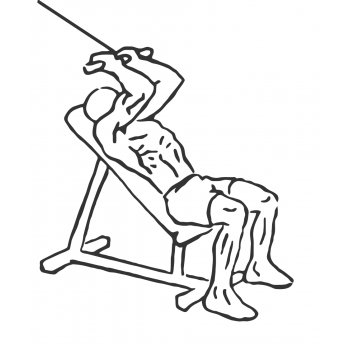 Cable Incline Triceps Extension - Step 1