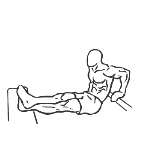 Bench Dips - Step 1