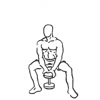 Plie Dumbbell Squat - Step 1