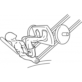 Narrow Stance Leg Press - Step 2