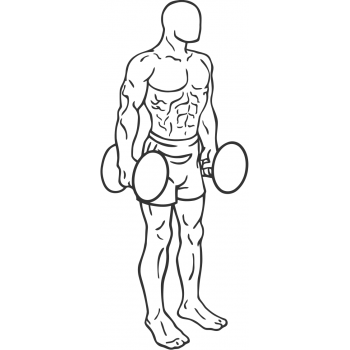 Dumbbell Squat - Step 1