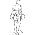 Dumbbell Squat - Step 1
