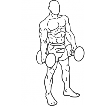 Dumbbell Rear Lunge - Step 1