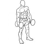 Dumbbell Rear Lunge - Step 1