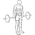 Barbell Hack Squat - Step 1