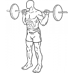 Barbell Squat - Step 1