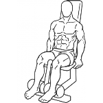 Seated Leg Curl - Step 1