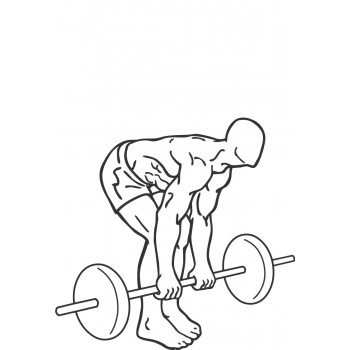 Romanian Deadlift - Step 2