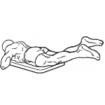 Flutter Kicks - Step 2