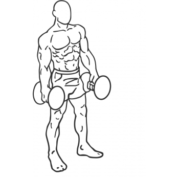 Dumbbell Lunges - Step 1