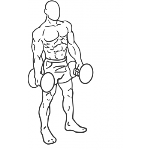 Dumbbell Lunges - Step 1
