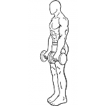 Dead Lifts - Step 1