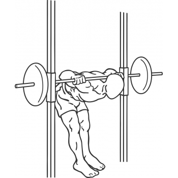 Smith Machine Good Mornings FreeWorkoutLog