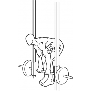 Smith Machine Dead Lifts - Step 2
