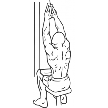 V-Bar Pulldown - Step 2