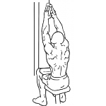 V-Bar Pulldown - Step 2