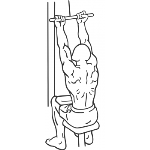 Underhand Cable Pulldowns - Step 2