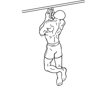 Narrow Parallel Grip Chin-ups - Step 1