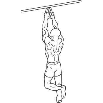 Narrow Parallel Grip Chin-ups - Step 2