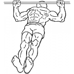 Body Row - Step 1