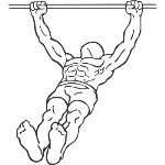 Body Row - Step 2