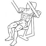 Decline Chest Press - Step 2