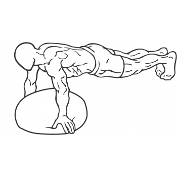 BOSU Ball Push Ups - Step 1