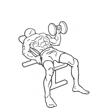 One Arm Dumbbell Bench Press - Step 2