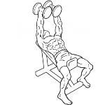 Incline Dumbbell Flyes - Step 1