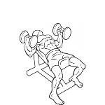 Hammer Grip Incline DB Bench Press - Step 2