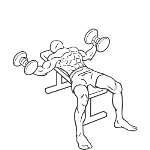 Dumbbell Flys - Step 2
