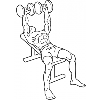 Dumbbell Bench Press - Step 1