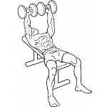 Dumbbell Bench Press - Step 1