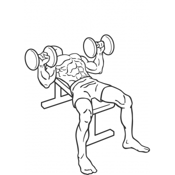 Dumbbell Bench Press - Step 2