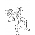 Dumbbell Bench Press - Step 2