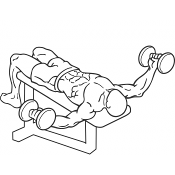 Dumbbell Decline Flys - Step 2