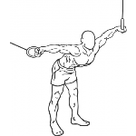 Cable Crossover - Step 2