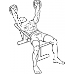 Bench Press - With Bands - Step 1
