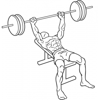 Barbell Bench Press - Medium Grip - Step 1