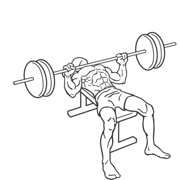 Barbell Bench Press - Medium Grip - Step 2