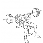Barbell Bench Press - Medium Grip - Step 2
