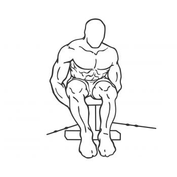 Cable Seated Rear Lateral Raise - Step 2