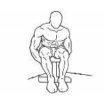 Cable Seated Rear Lateral Raise - Step 2