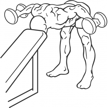 Bent Over Rear Delt Row With Head On Bench - Step 1