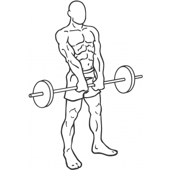 Barbell Shrug - Step 1