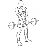 Barbell Shrug - Step 1