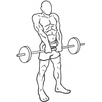 Barbell Shrug - Step 2