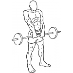 Barbell Shrug - Step 2